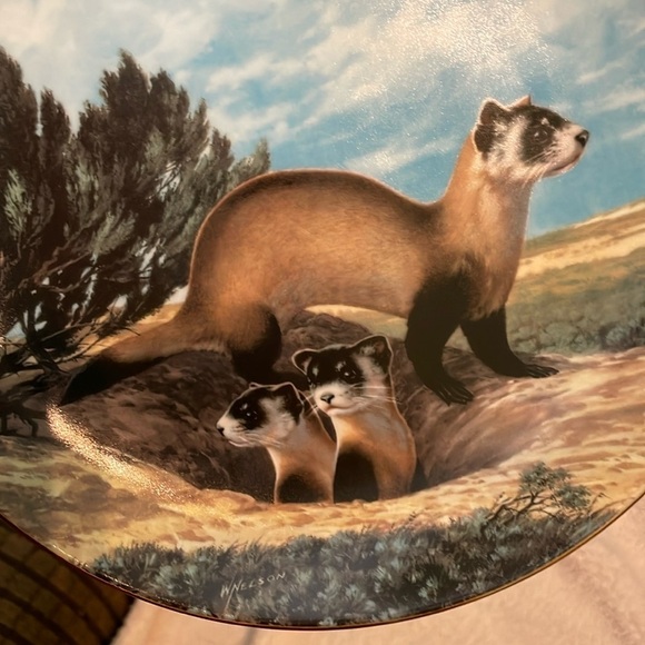 The Black Footed Ferret Will Nelson Vintage Last of Their Kind Endangered Plate - Picture 3 of 15
